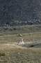 Vista con escombros al fondo / View of the tombs with debris at the back